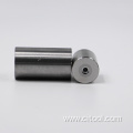 Tungsten Carbide Straight Hole Die Main Die